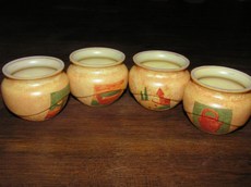 pots pour cactus
